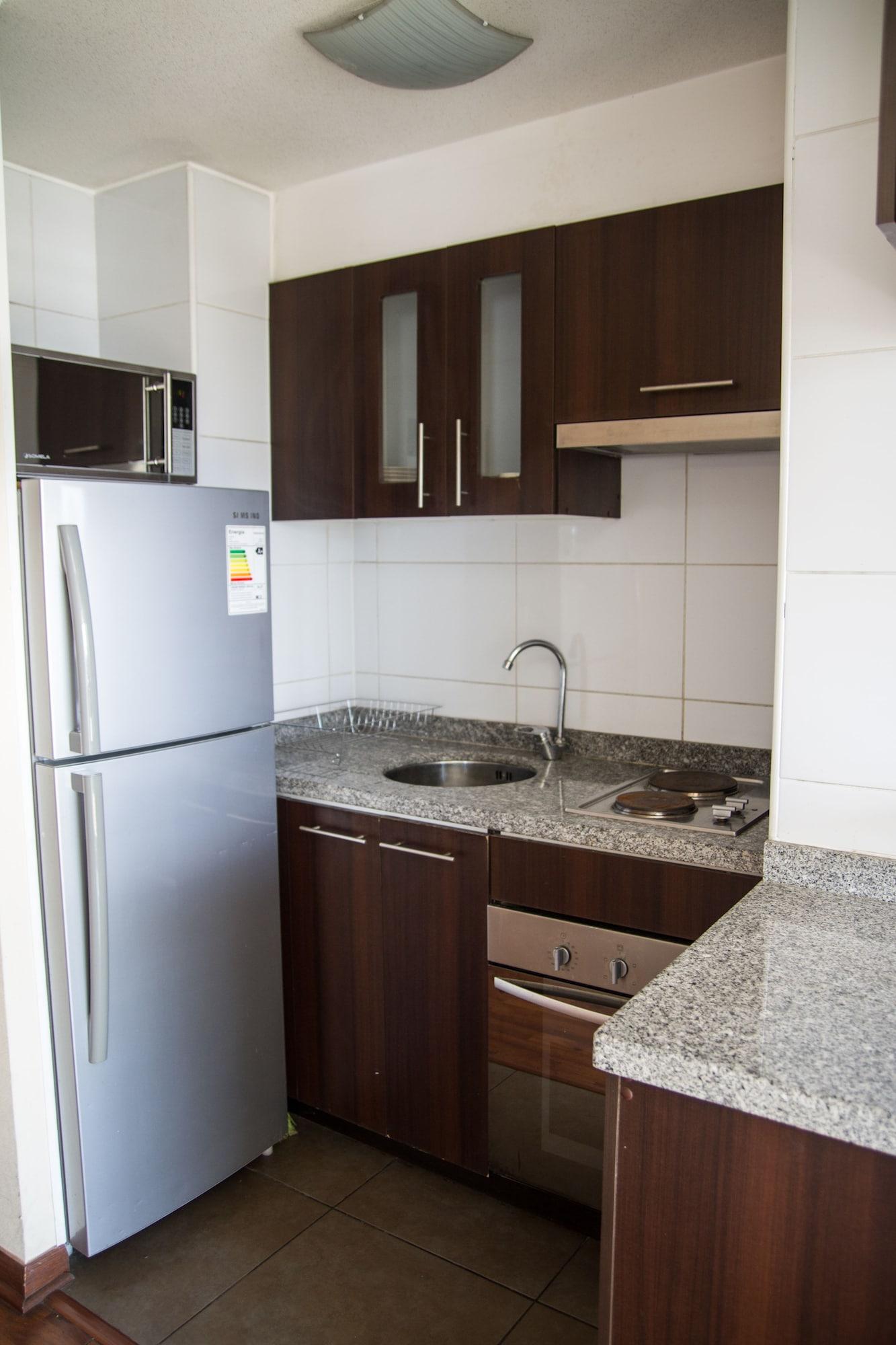 Santiago Furnished Apartments Экстерьер фото